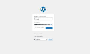 WordPress connection